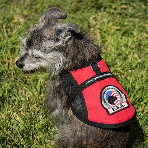 פרימיום תמיכה רגשית אפוד כלבים ותמיכה רגשית קליפ של בעלי חיים על תג | כולל עשרה כרטיסי מידע ESA